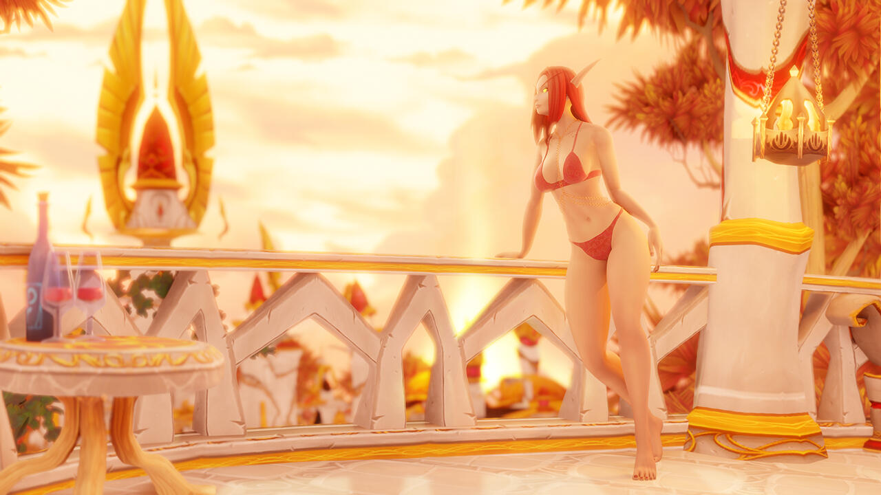 Now that she is a paladin, she ponders her future protecting the Sunwell